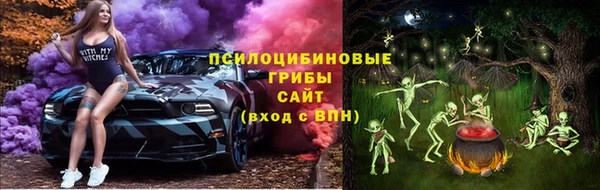 первитин Горняк