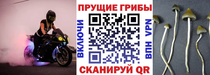 Псилоцибиновые грибы мухоморы  Белая Холуница 